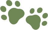 Magic Paws Dog Grooming